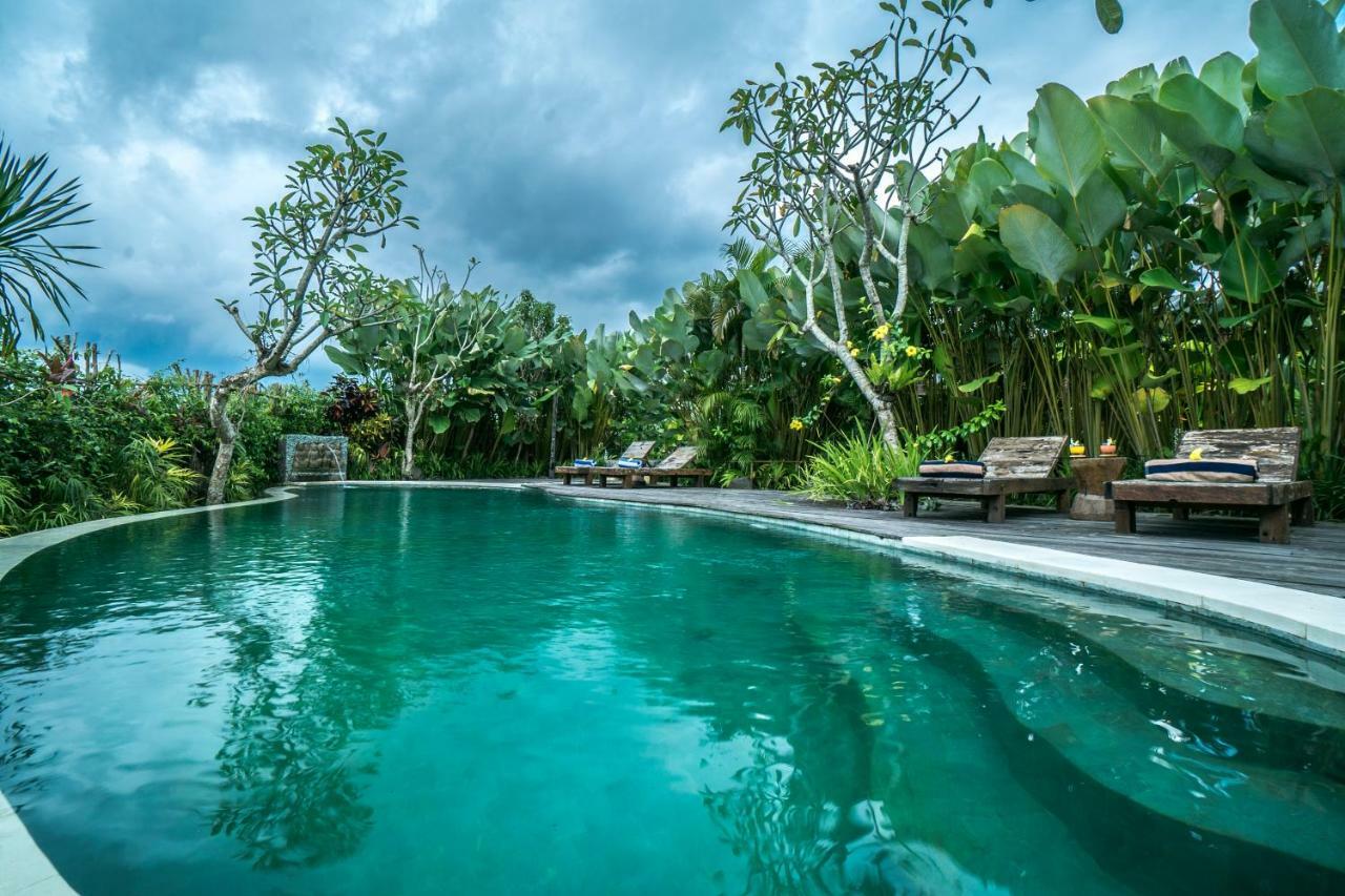 Malaya Villas Ubud Tegallalang  Ngoại thất bức ảnh